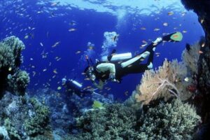 Coral Island by Speed Boat Full Day - Image 5