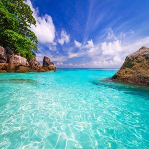 Similan Island by Speed Boat Full Day - Image 4