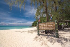 Phi Phi – Bamboo + Longtail Boat - Image 6