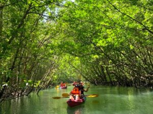 Krabi, Kayaking Paradise - Image 2