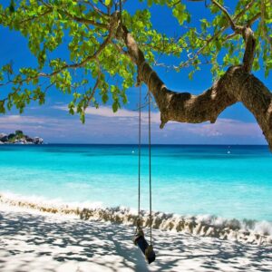 Similan Island by Speed Boat Full Day - Image 6